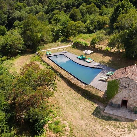 Quinta De Fermil - Casas Villa Vouzela Bagian luar foto